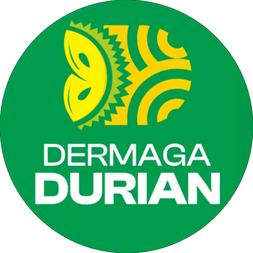Dermaga Durian
