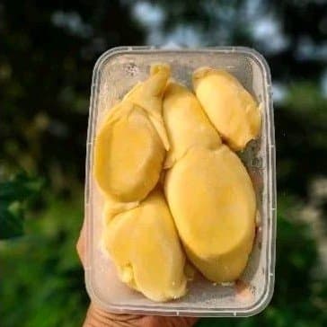 Durian Montong Palu