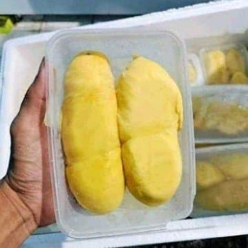 Durian Montong Palu