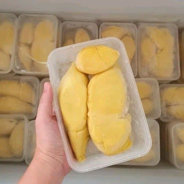 Durian Montong Palu